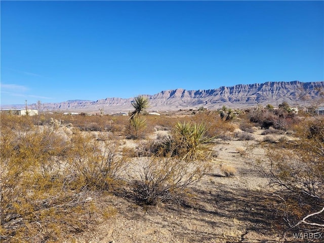 235 E Eddy Ln, Meadview AZ, 86444 land for sale