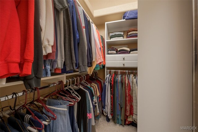 walk in closet with carpet flooring