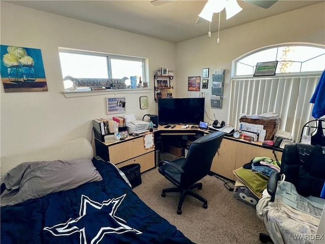 office space with a wealth of natural light and carpet flooring