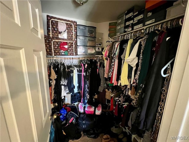 view of walk in closet