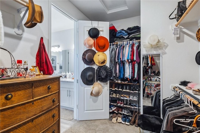 spacious closet with light carpet and attic access