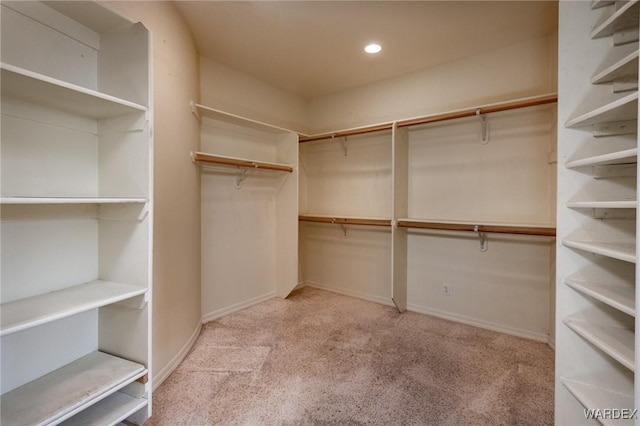 walk in closet featuring light carpet