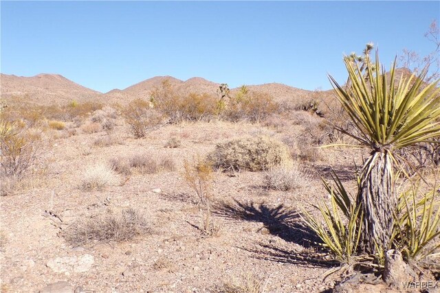 LOT490 Escondido Ave, White Hills, AZ 86445 - photo 4
