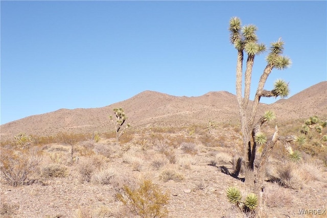 Listing photo 2 for LOT490 Escondido Ave, White Hills AZ 86445