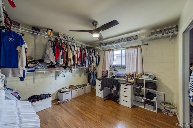 spacious closet featuring a ceiling fan and wood finished floors