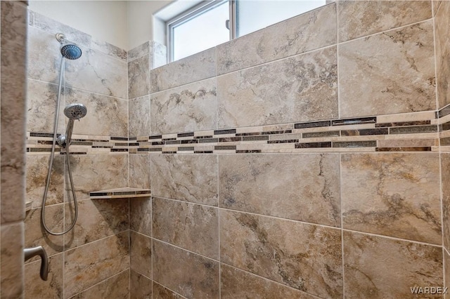 room details with tiled shower