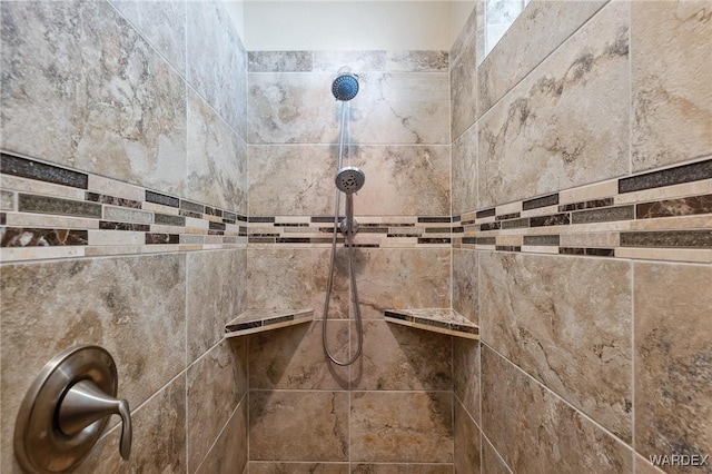 room details with tiled shower