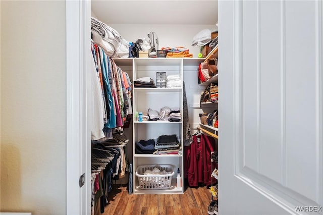 walk in closet with wood finished floors