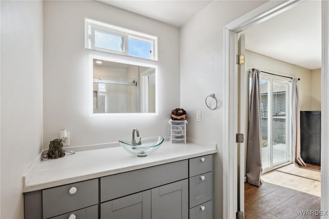 bathroom featuring vanity, wood finished floors, and a wealth of natural light