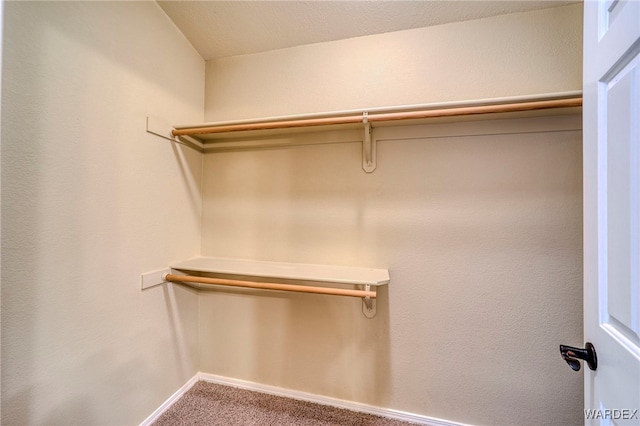 spacious closet with carpet floors