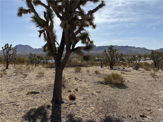 0 N Magnolia Dr, Dolan Springs AZ, 86441 land for sale