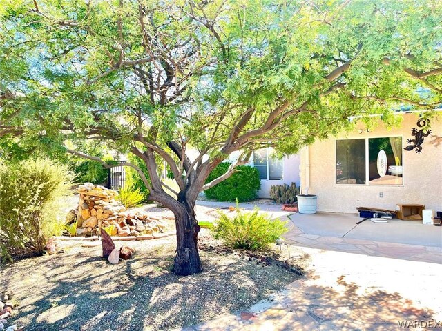 view of yard with a patio