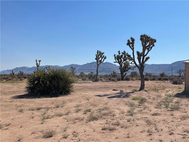 27182 N Apple Dr, Meadview, AZ 86444 - photo 15