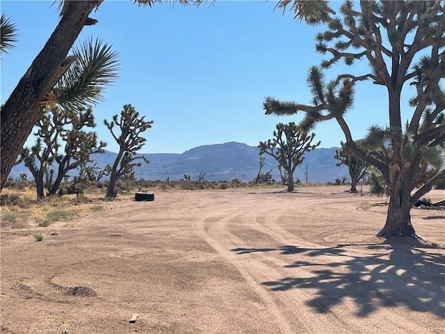 27182 N Apple Dr, Meadview, AZ 86444 - photo 4