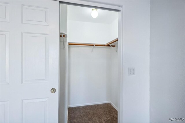 spacious closet featuring carpet