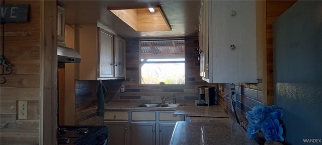 kitchen featuring black stove, ventilation hood, a sink, and decorative backsplash