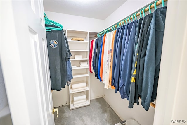 spacious closet featuring carpet