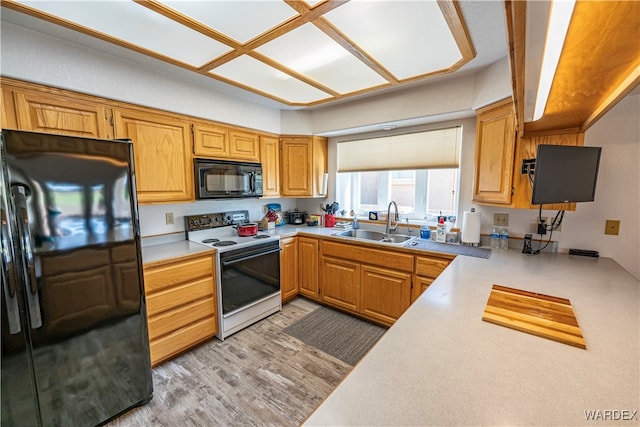 kitchen with light wood finished floors, light countertops, brown cabinetry, a sink, and black appliances