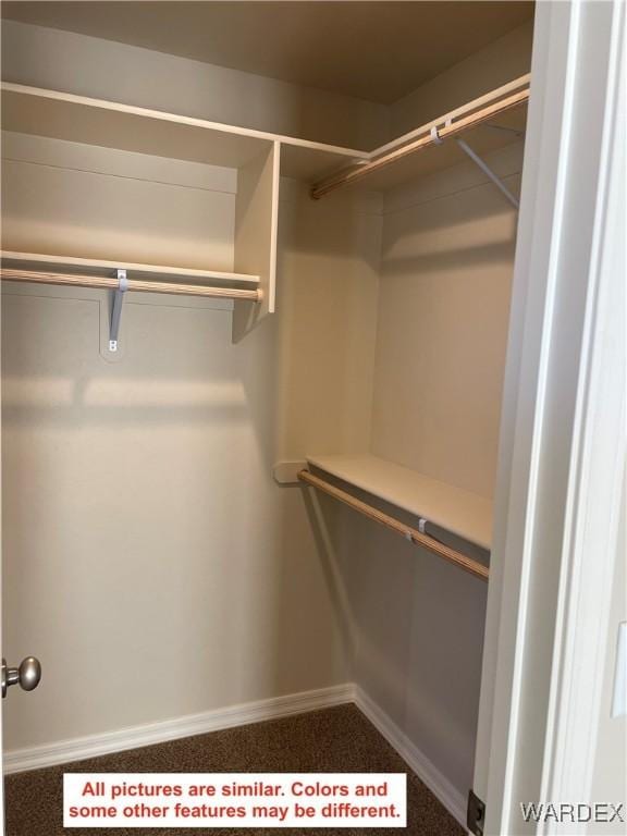 spacious closet with carpet