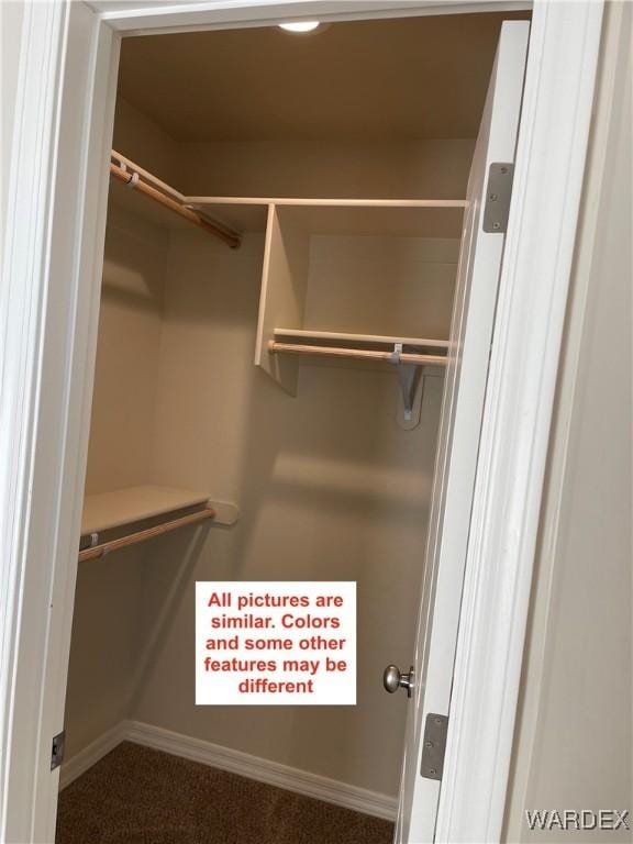 view of spacious closet