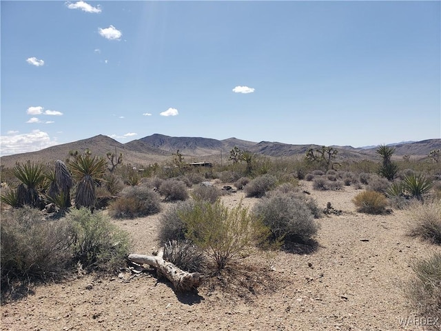 3ACRES La Crescenta, White Hills, AZ 86445 - photo 6