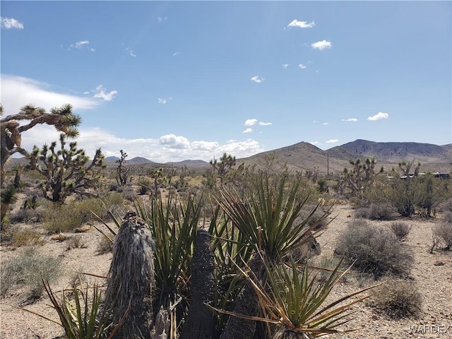 3ACRES La Crescenta, White Hills, AZ 86445 - photo 9