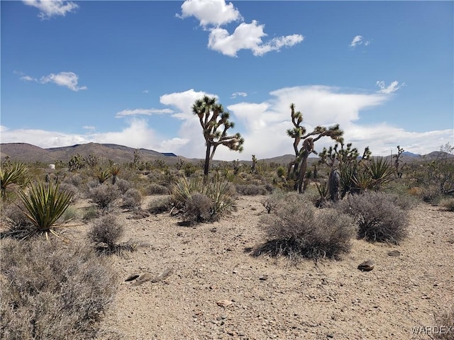 3ACRES La Crescenta, White Hills, AZ 86445 - photo 2