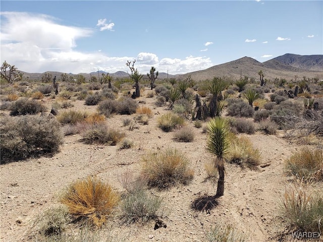 3ACRES La Crescenta, White Hills, AZ 86445 - photo 11