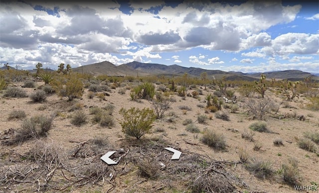 3ACRES La Crescenta, White Hills, AZ 86445 - photo 10