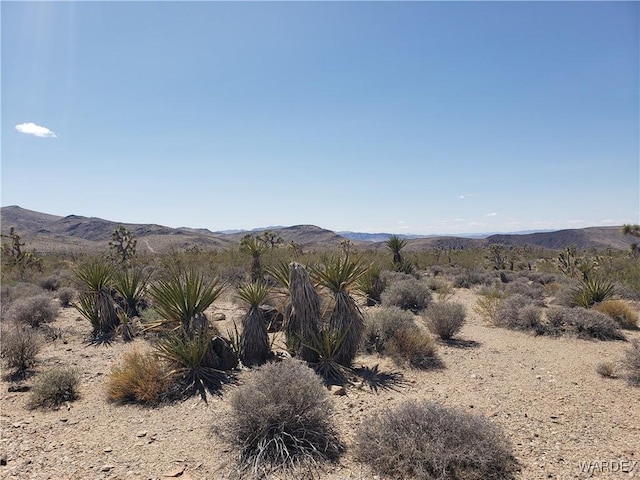 3ACRES La Crescenta, White Hills, AZ 86445 - photo 1