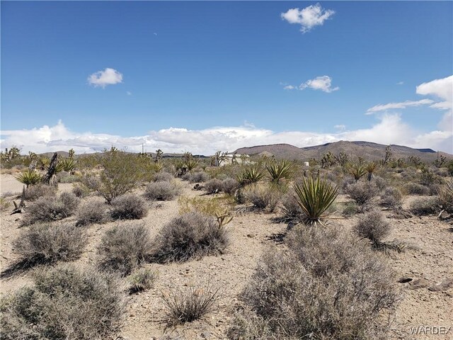 3ACRES La Crescenta, White Hills, AZ 86445 - photo 5