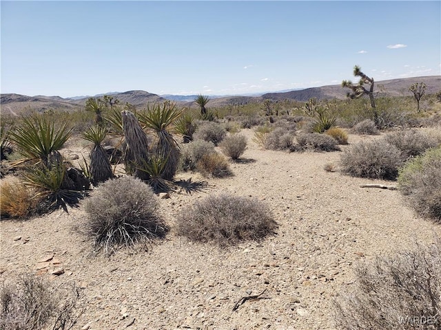 3ACRES La Crescenta, White Hills, AZ 86445 - photo 8