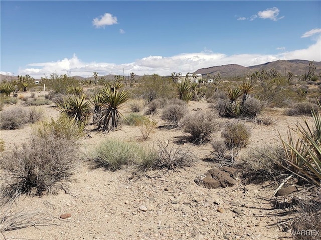 3ACRES La Crescenta, White Hills, AZ 86445 - photo 7