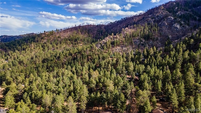property view of mountains with a wooded view