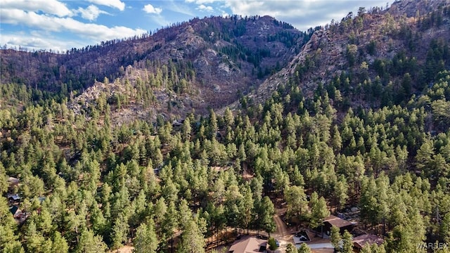 mountain view with a wooded view