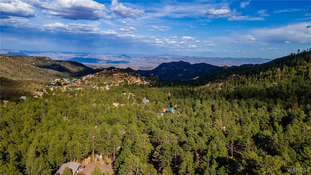 view of mountain feature with a view of trees