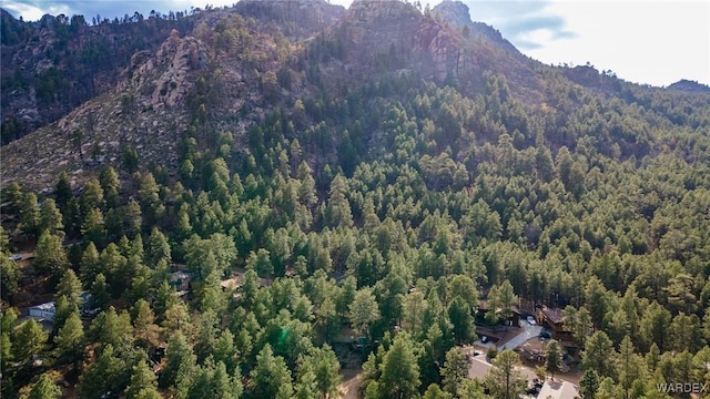 property view of mountains featuring a wooded view