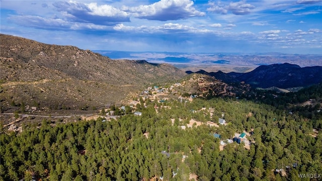 property view of mountains featuring a forest view