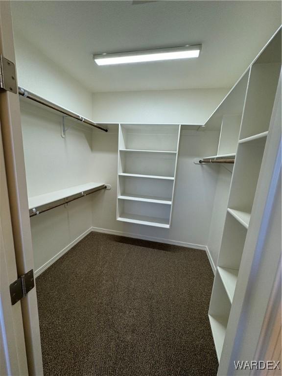 walk in closet featuring dark colored carpet