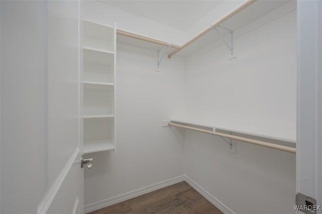 walk in closet featuring dark wood-type flooring