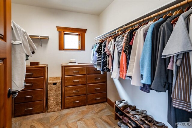 view of spacious closet