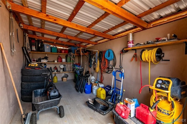 storage featuring a garage