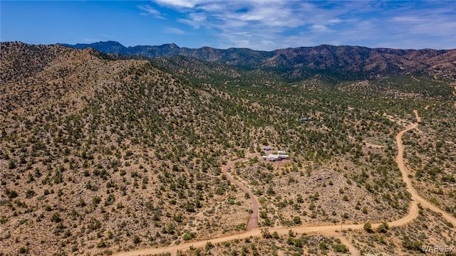 drone / aerial view with a mountain view