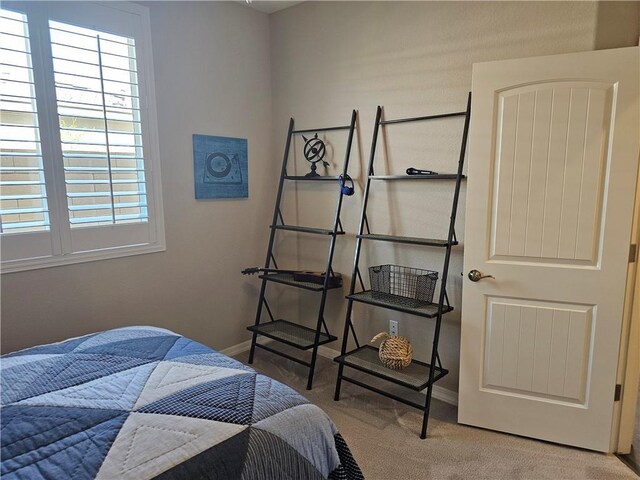 473 Mcalister Dr, Bullhead City, AZ 86442 - photo 45