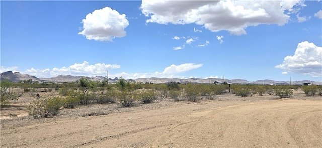 1417 S Laguna Rd, Golden Valley, AZ 86413 - photo 10