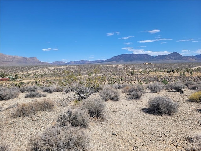 27150 N Pierce Ferry Rd, Meadview, AZ 86444 - photo 4