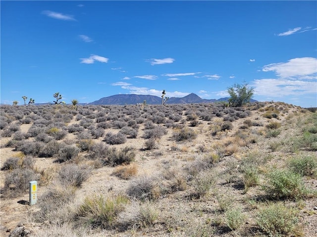 27150 N Pierce Ferry Rd, Meadview, AZ 86444 - photo 6
