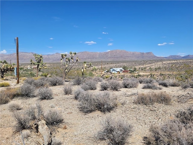 27150 N Pierce Ferry Rd, Meadview, AZ 86444 - photo 2