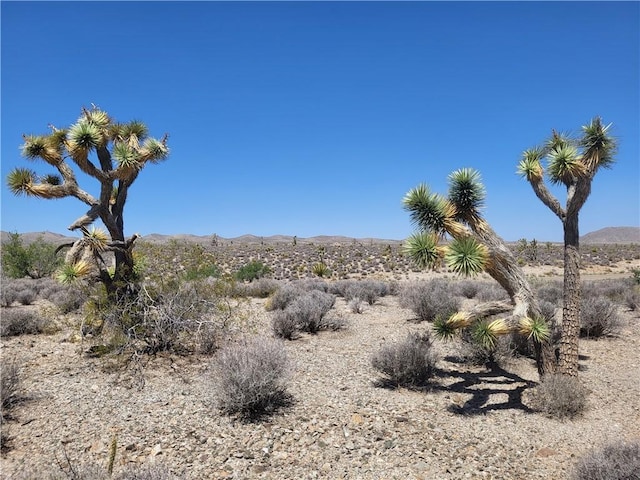 27150 N Pierce Ferry Rd, Meadview, AZ 86444 - photo 5