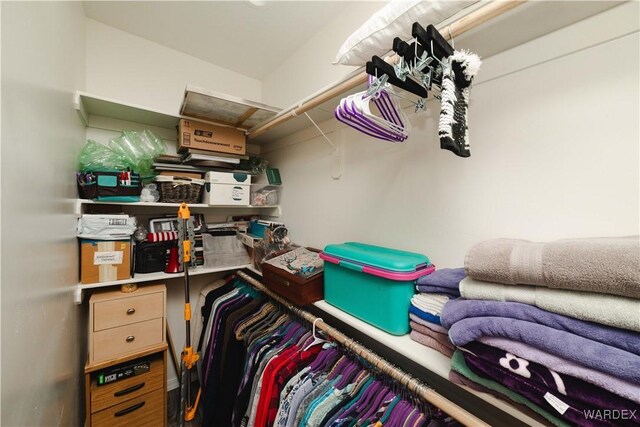 view of spacious closet